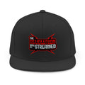 The Revolution Will Be Streamed™ Snapback Hat