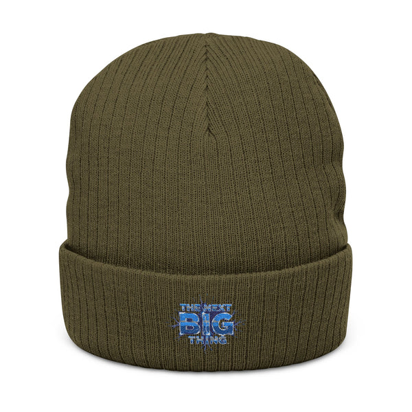 The Next Big Thing™ Ribbed Knit Beanie