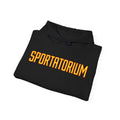 Sportatorium™ Pullover Hoodie